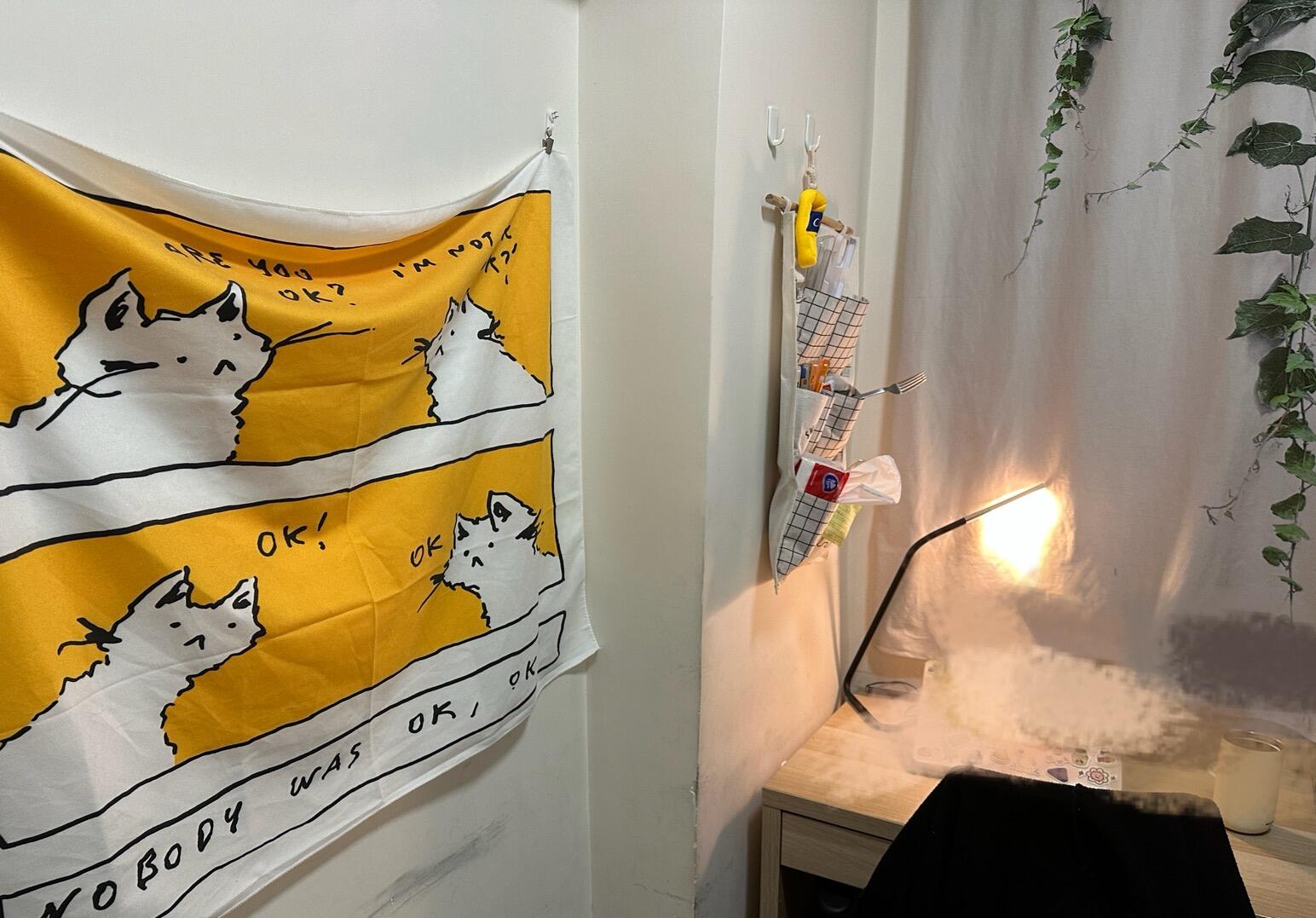港大附近坚尼地城转租短租/长租