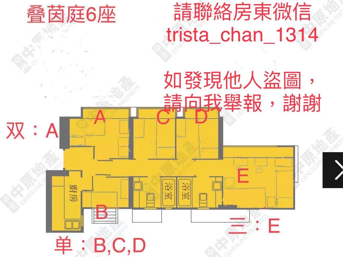 嶺大學生優惠/房東大減價/4套房/叠茵庭/豫豐花園/可打釐印/不混住