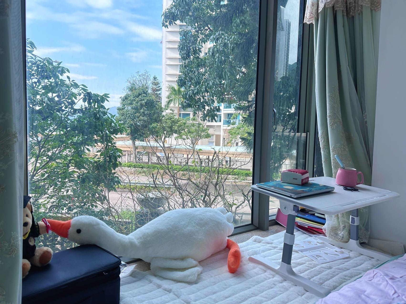 毕业急转：近中大马鞍山海景大飘窗+花园+海景