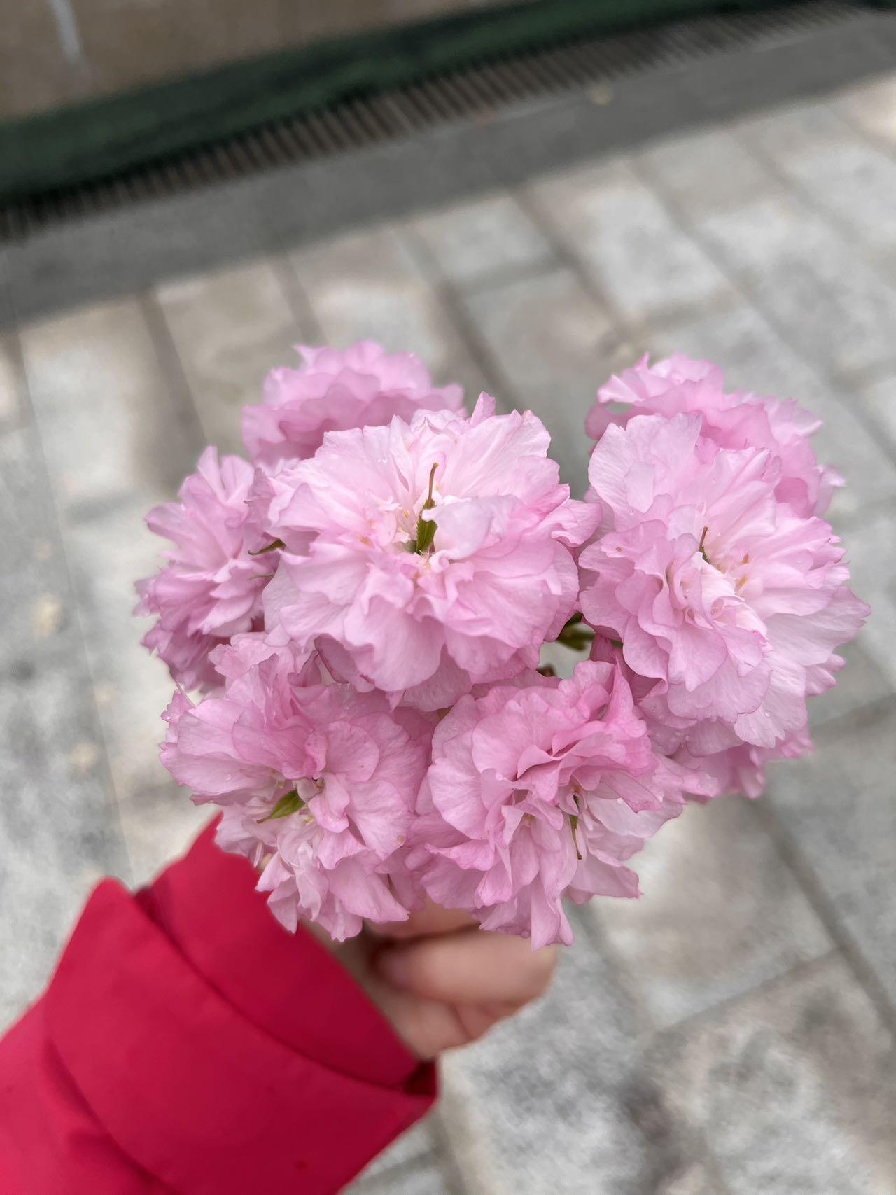 已出租
