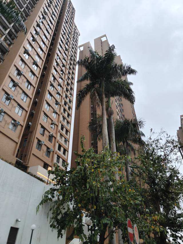 港大短租