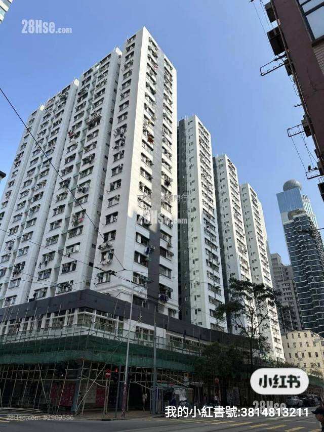 免中介、招港大 Fall25 女生大单间帶傢具