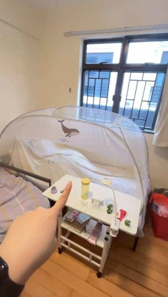 港城25fall找室友