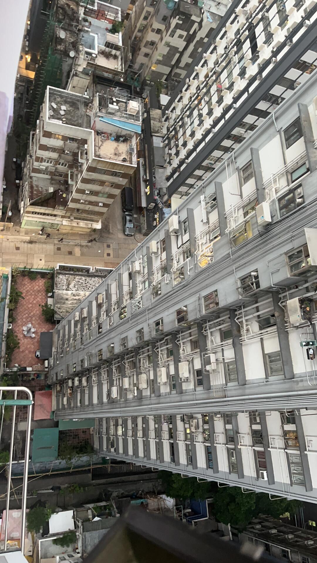 港大｜西营盘转租