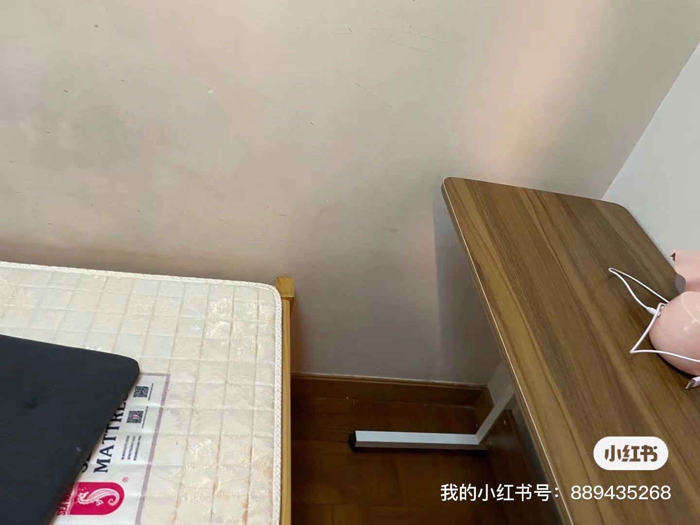 港大B2口5米高雅大厦