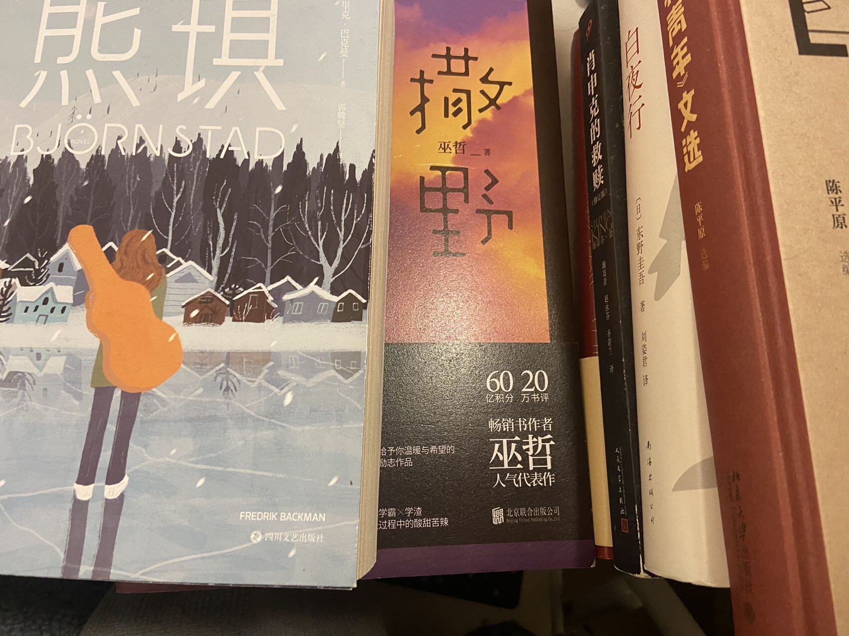 文学书籍