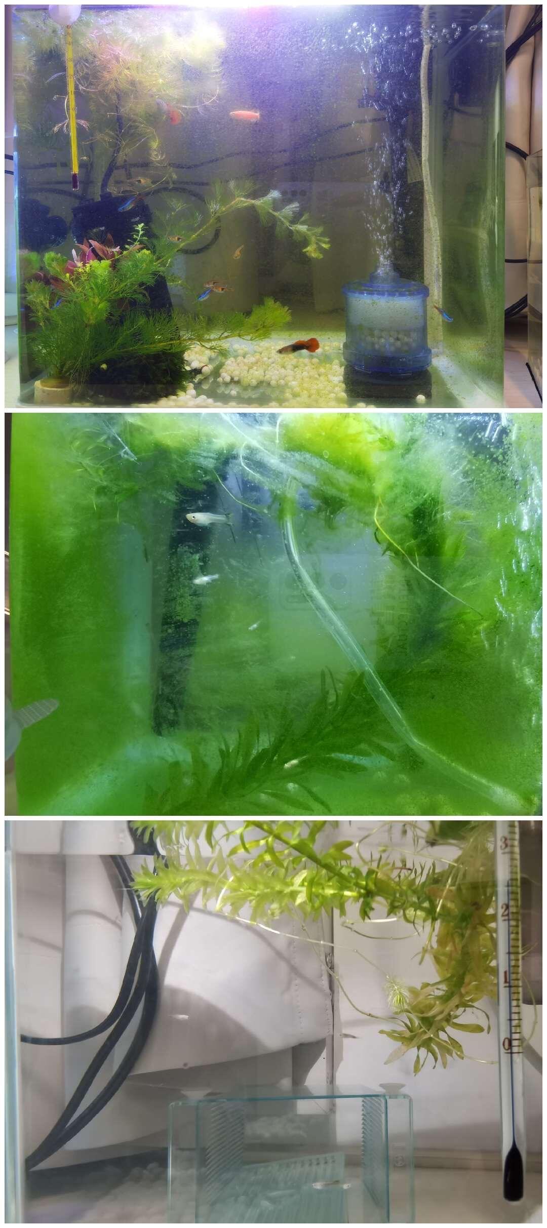鱼🐟！