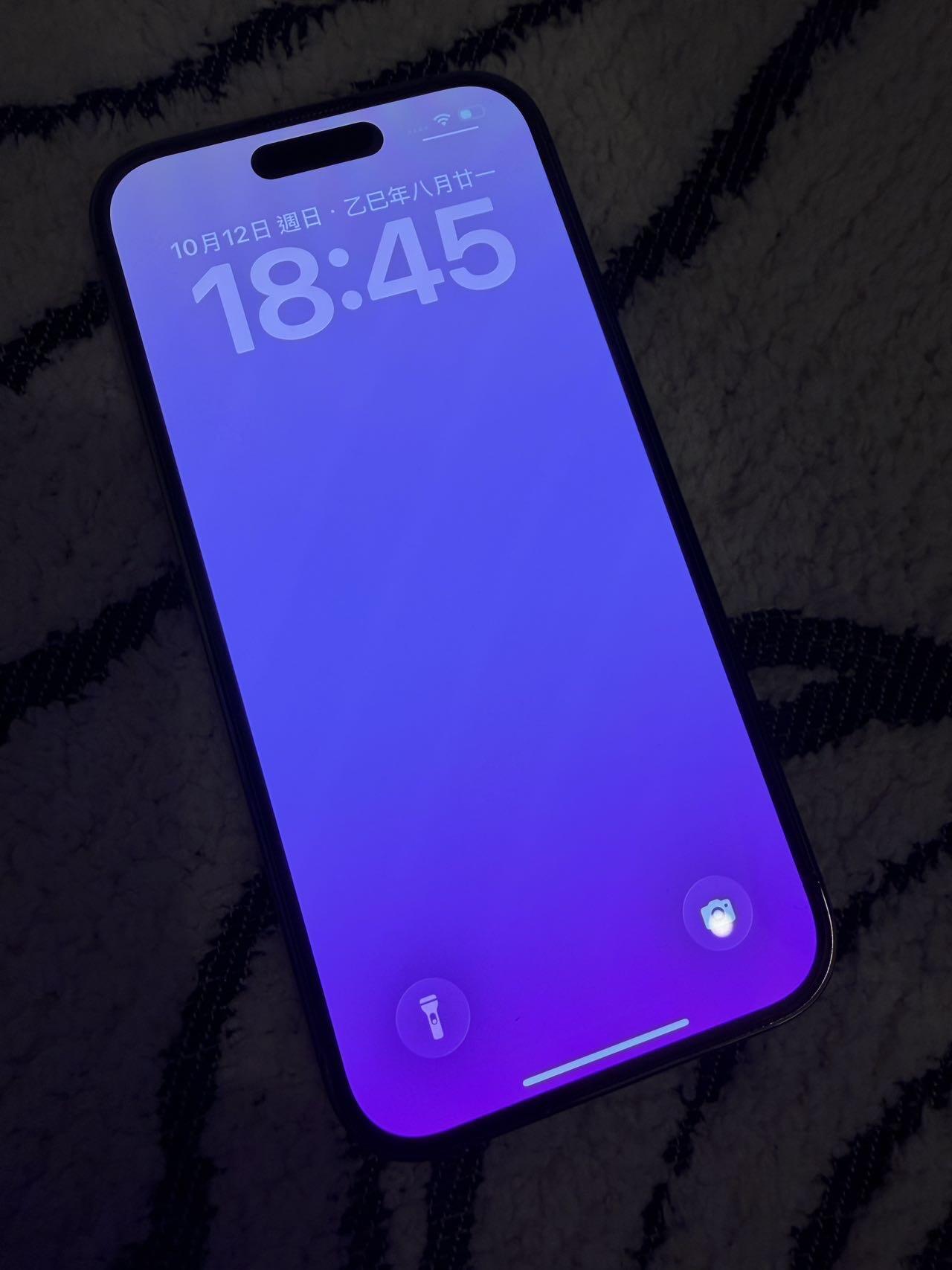 iPhone 14 Pro 1 TB紫色