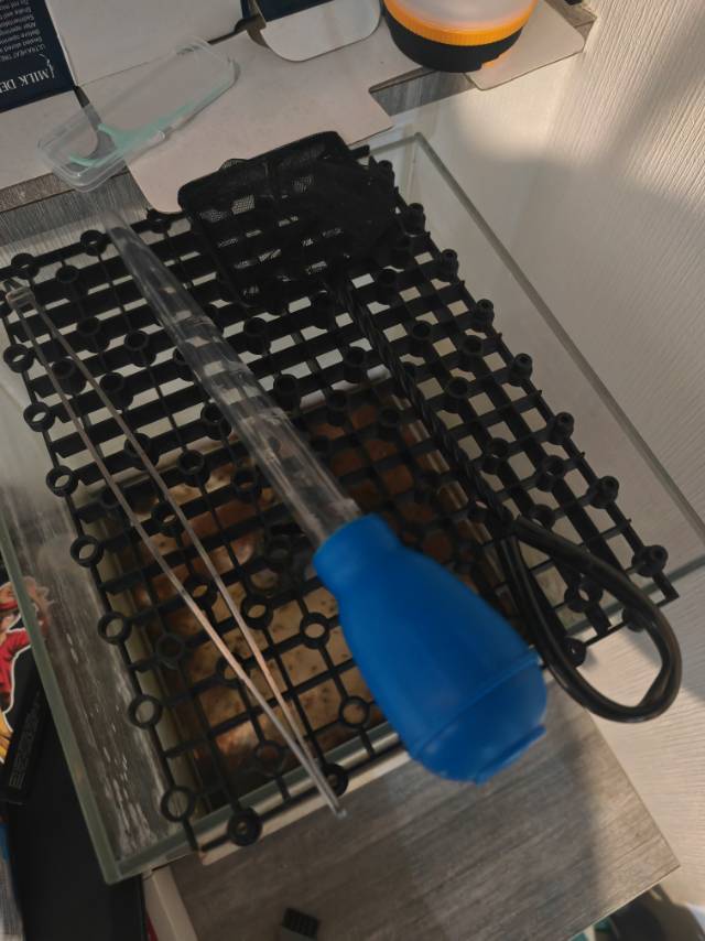 出一个鱼缸和附带器具