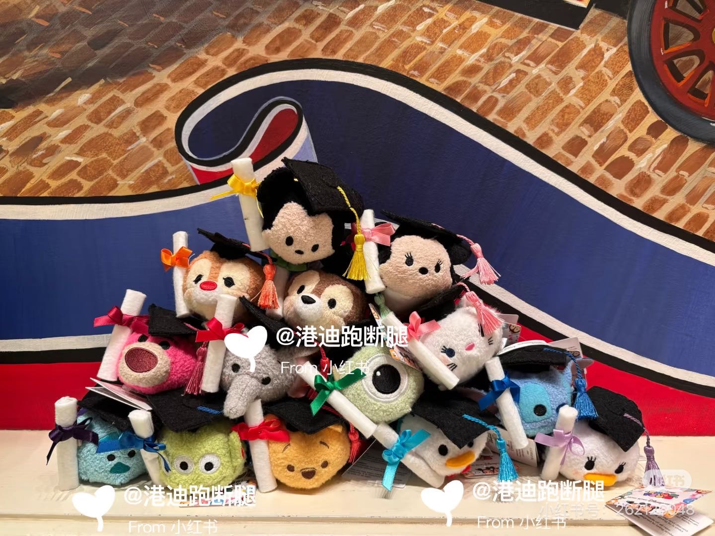 港迪毕业松松毛绒公仔可做毕业花束