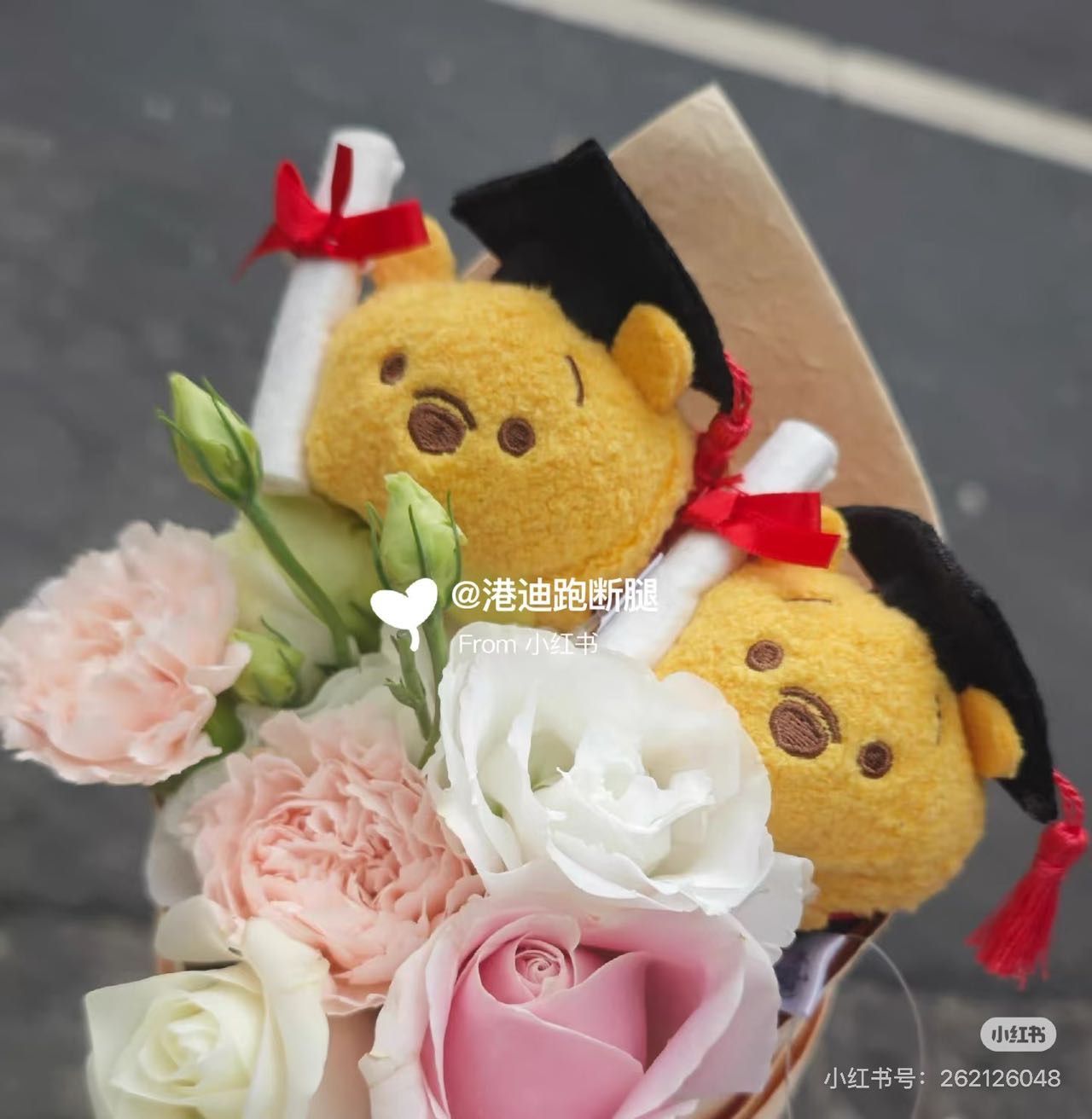 港迪毕业松松毛绒公仔可做毕业花束