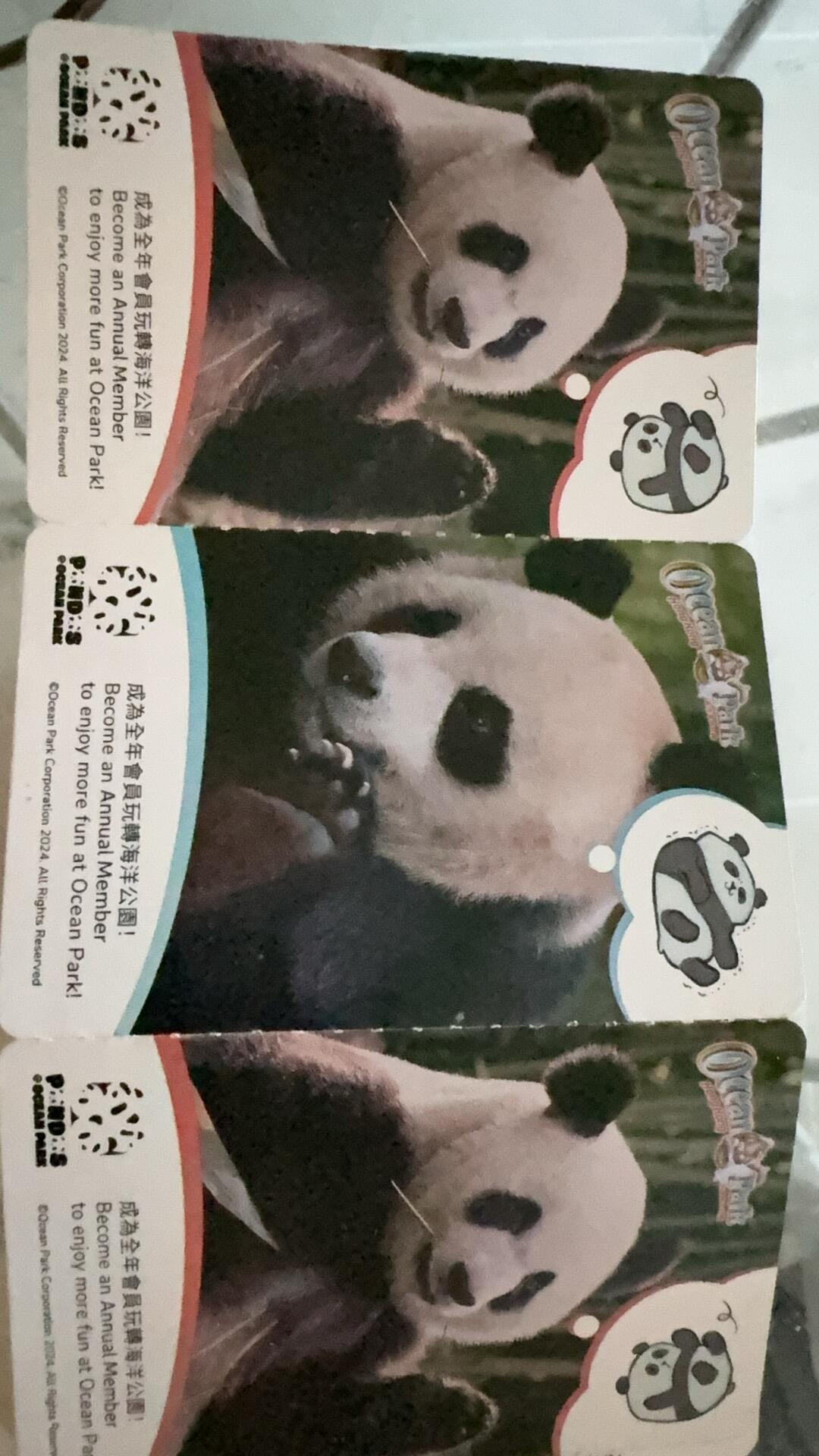 海洋公园门票4张