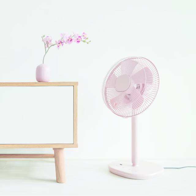 落地电风扇