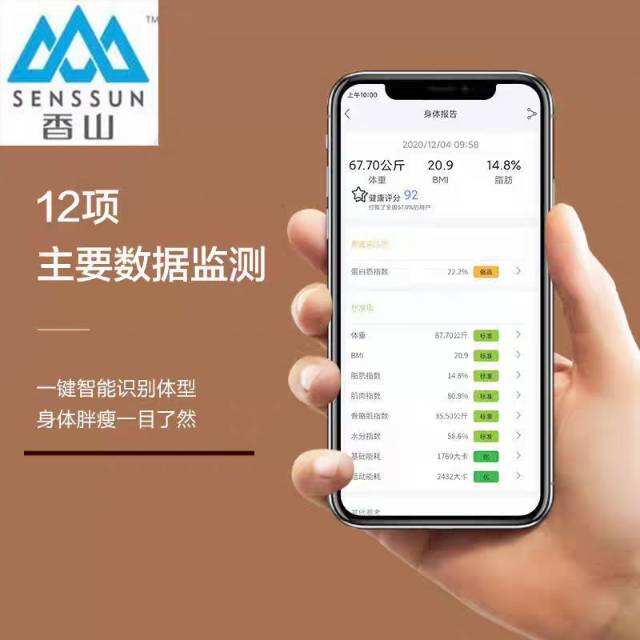 体脂秤体重秤