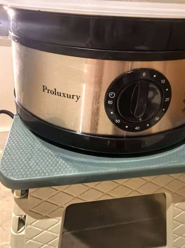 Proluxury电蒸锅